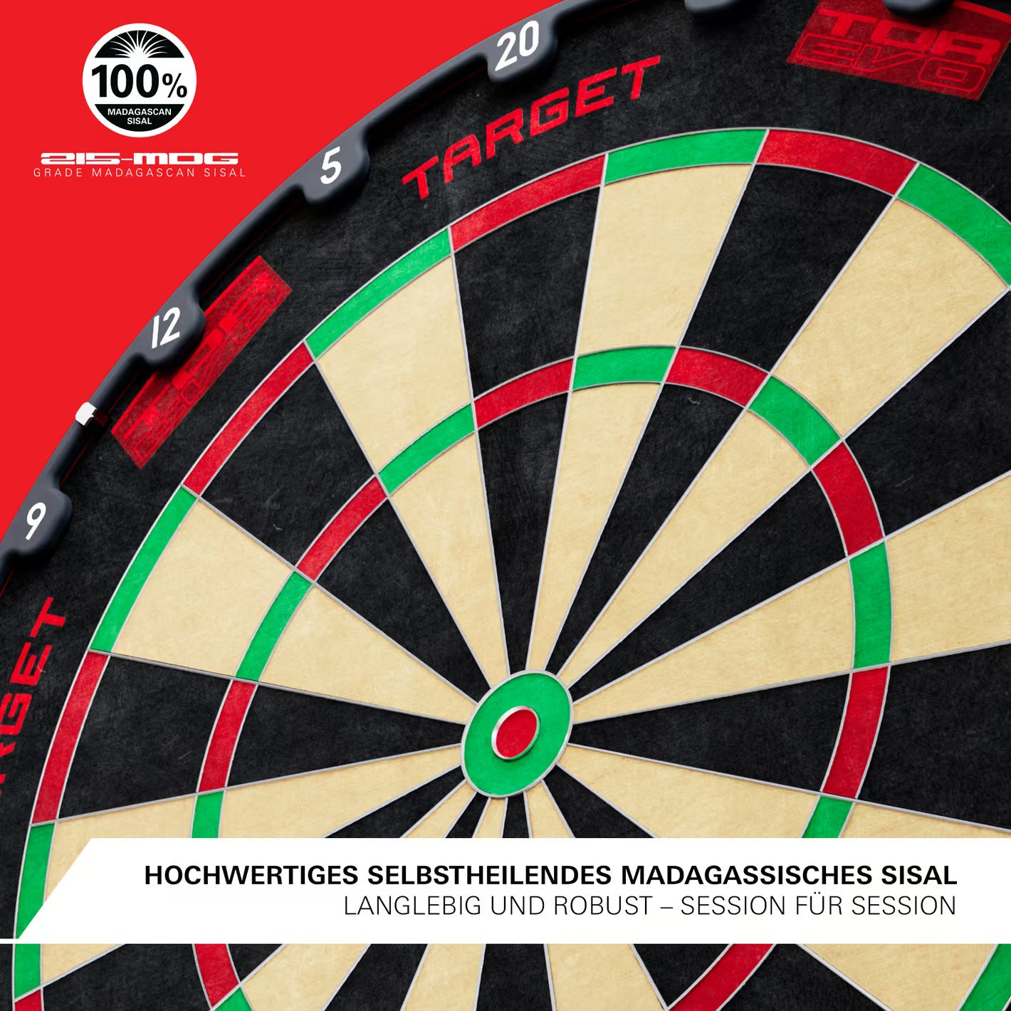 Image of Target TOR EVO Steeldartboard