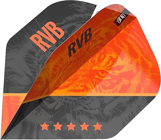 Image of Target Swiss Point Raymond van Barneveld Gen 4 95 % Steeldarts in 21g