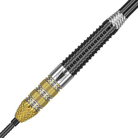Target Swiss Point Raymond van Barneveld Gen 4 95 % Steeldarts in 21g