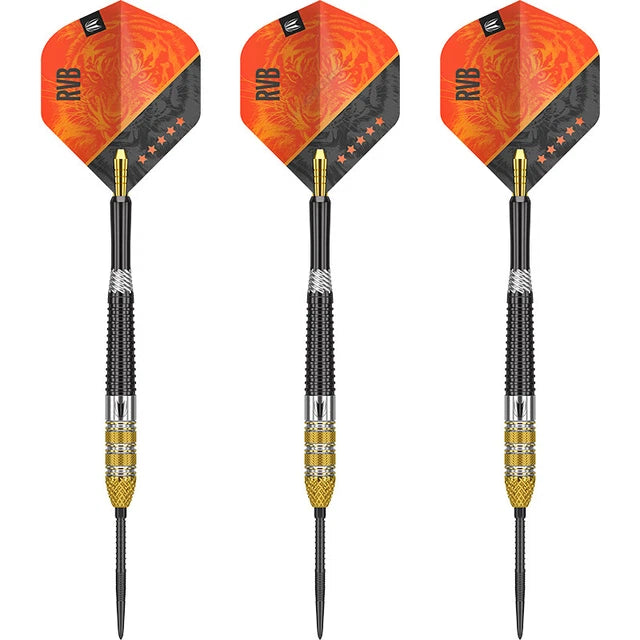 Target Swiss Point Raymond van Barneveld Gen 4 95 % Steeldarts in 21g